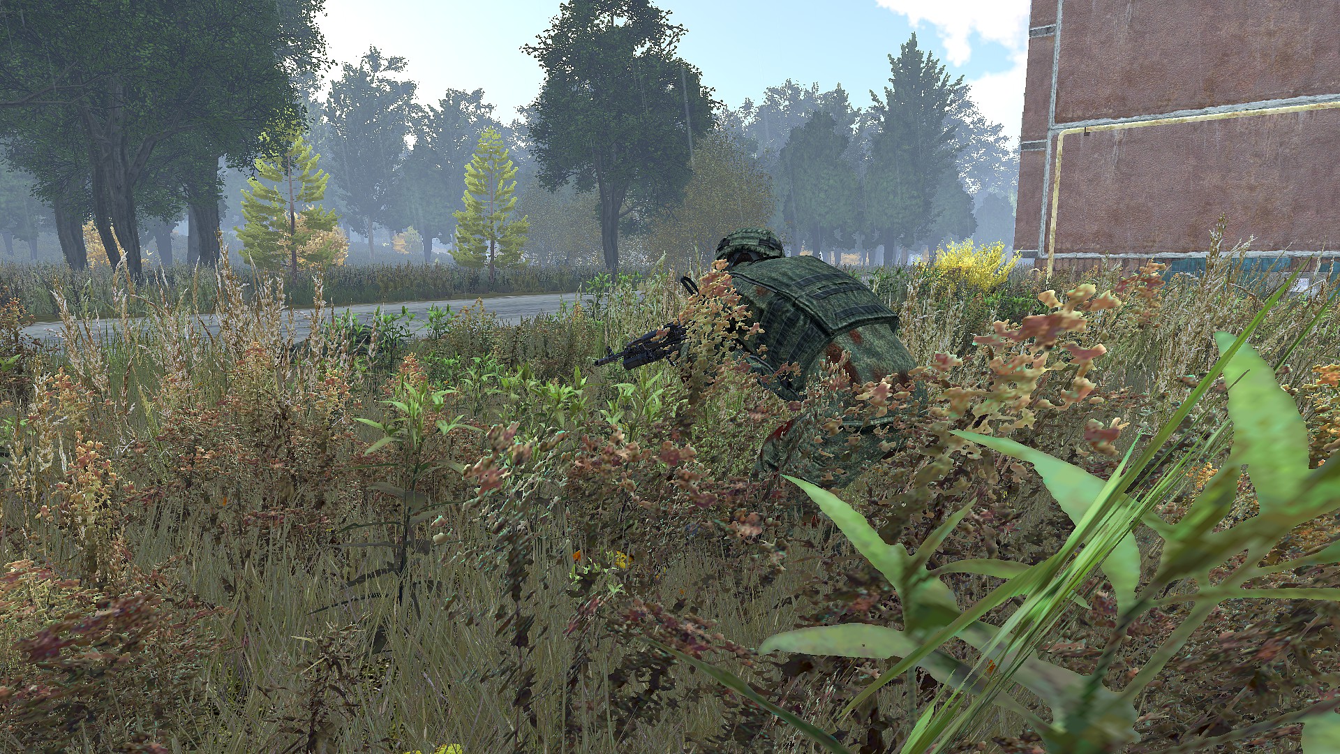 M3 - Operation Beanstalk